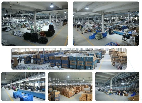 product-546-397 product-546-397